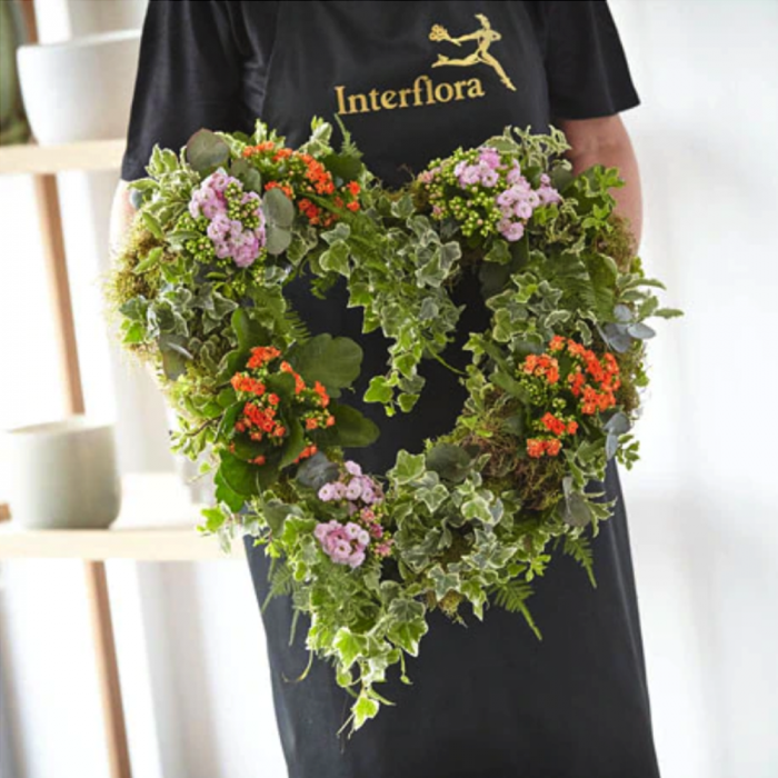 ‘The Flower Shop Helensburgh - Living Plant Wreath’