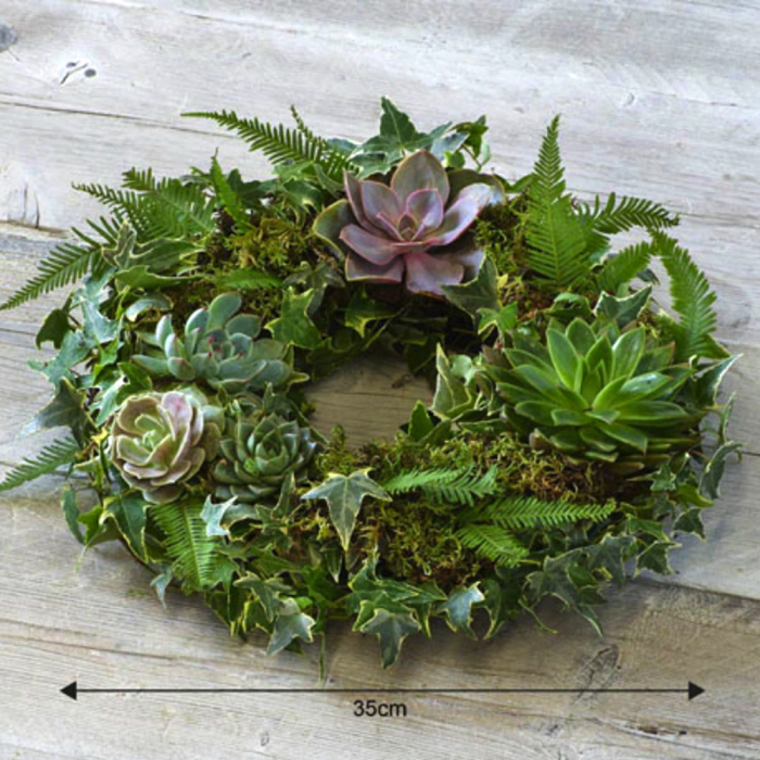 ‘The Flower Shop Helensburgh - Living Succulent Wreath’