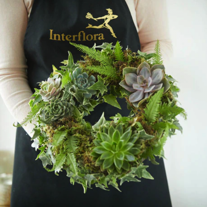 ‘The Flower Shop Helensburgh - Living Succulent Wreath’