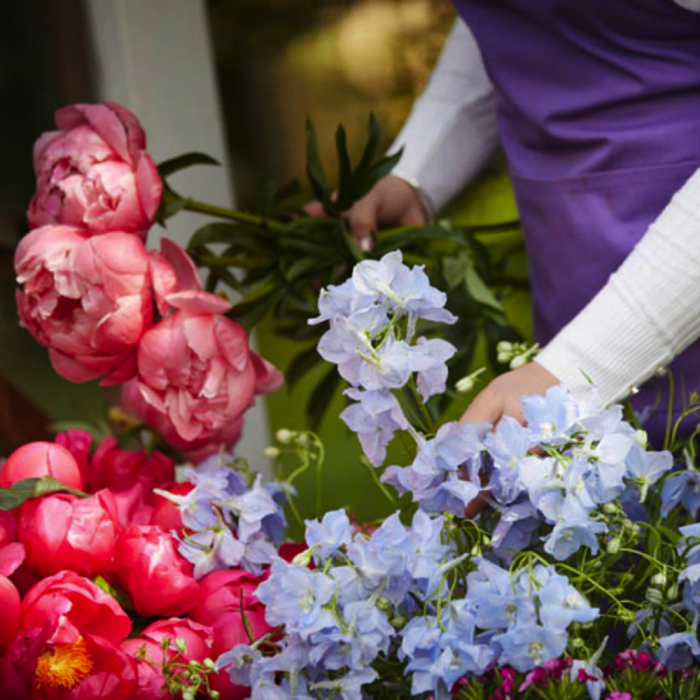 ‘The Flower Shop Helensburgh’